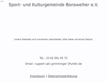 Tablet Screenshot of hauptabteilung.skg-bonsweiher-handball.de